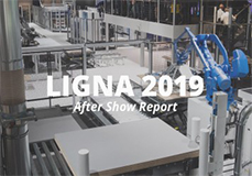 LIGNA 2019 展后报告